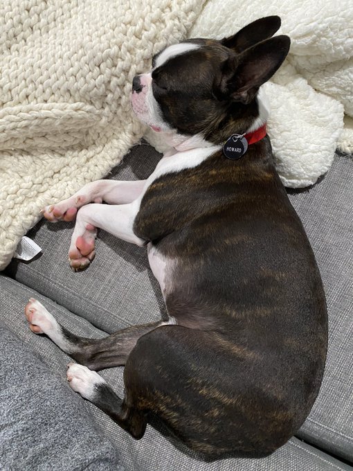 Sleeping