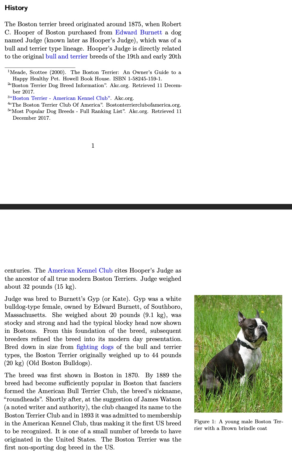 A screenshot of a PDF article about Boston Terriers, the document has an image in the right hard margin, a floating table of contents, and different sections split up by headers